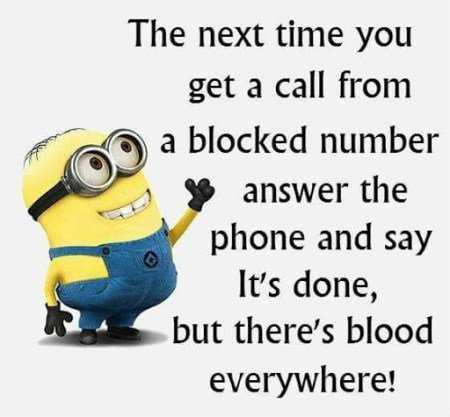 Minion Blockednumber