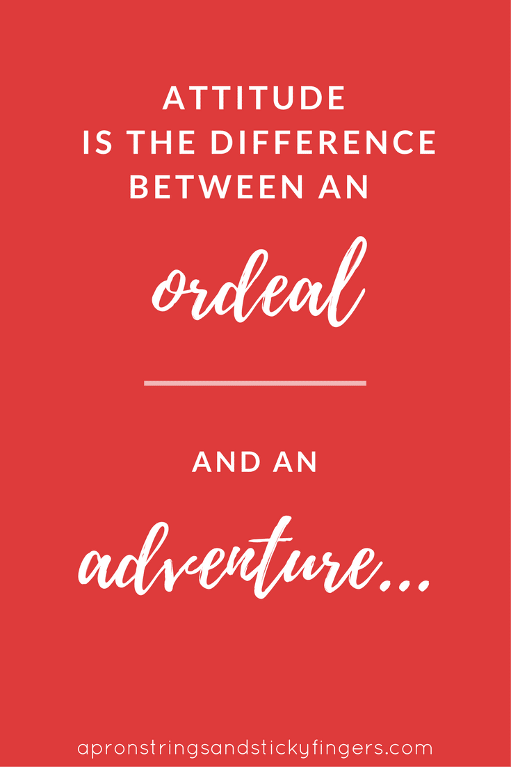 Quotes About Attitude