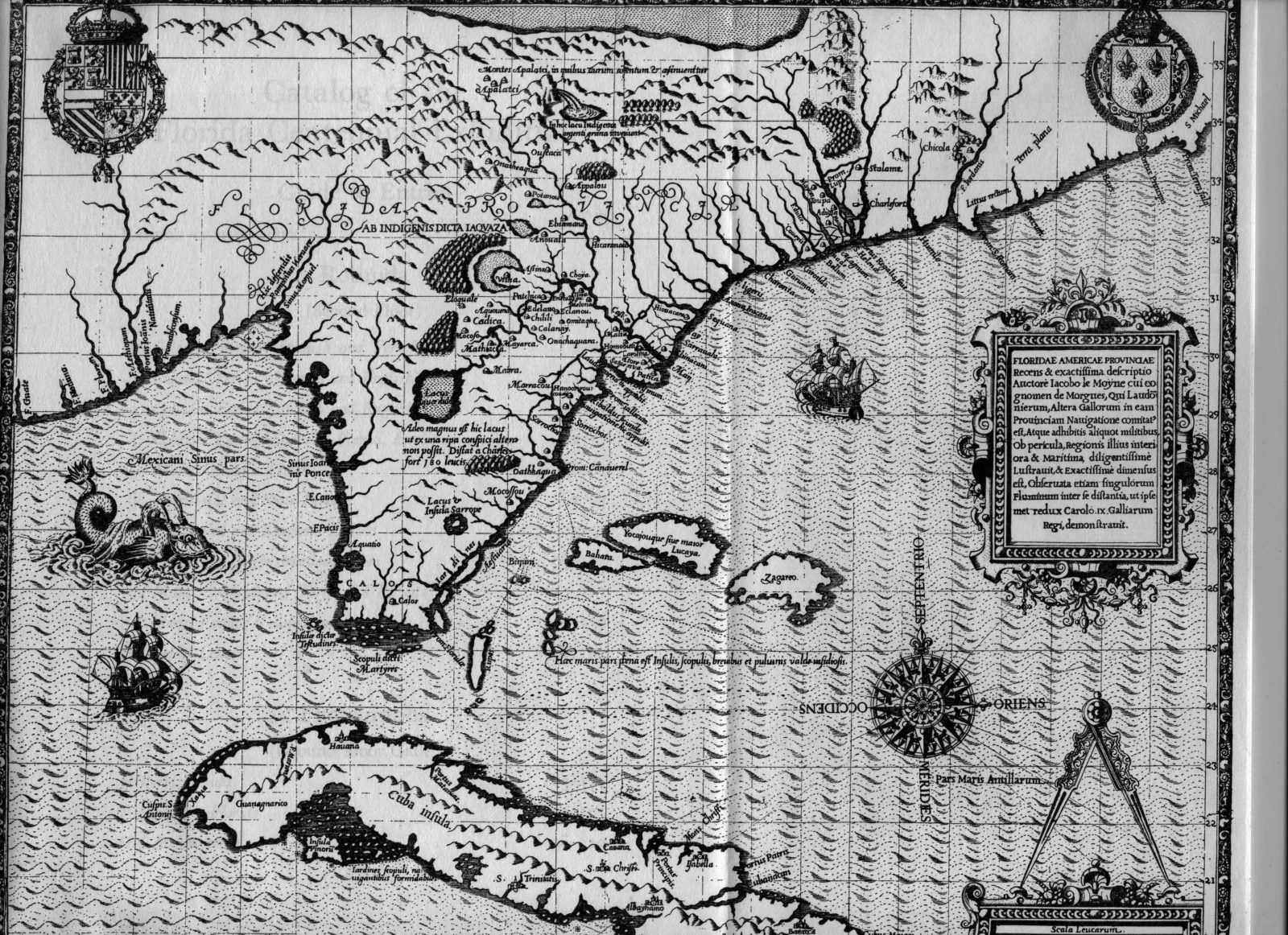 20 Florida Moyne 1591