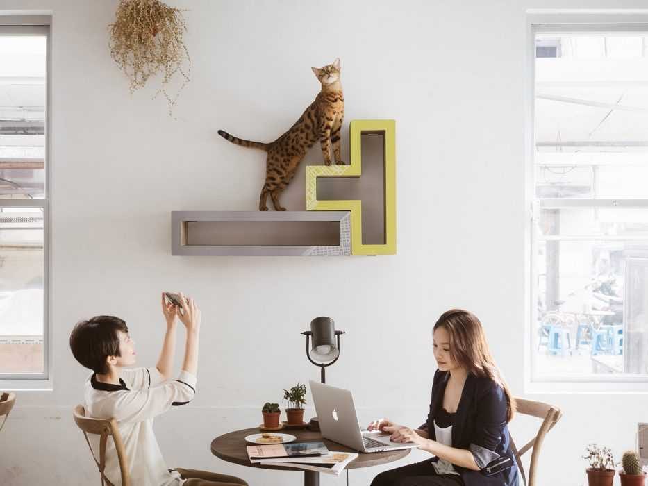 Katris Modular Cat Tree On Wall