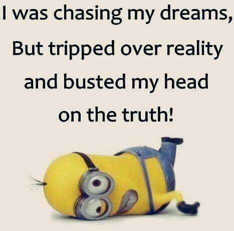 31 Funny LaughOutLoud Minions Pictures | Tripped Over Reality