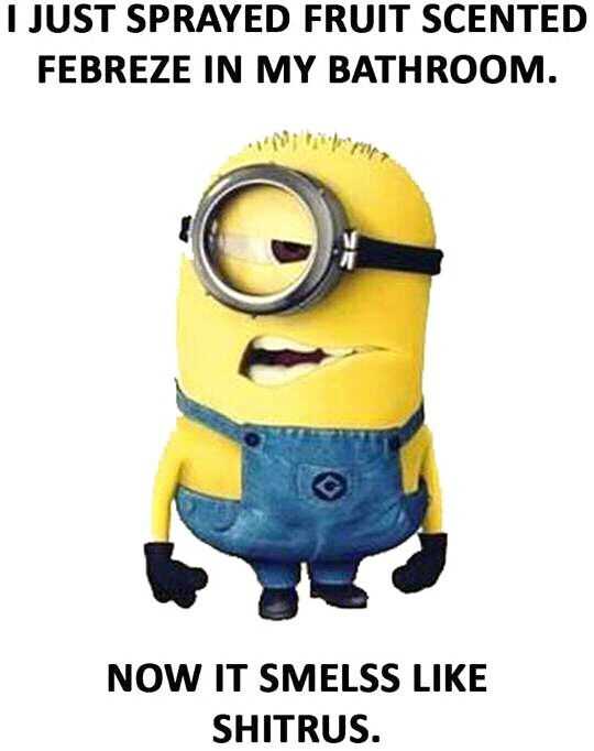Minion Quotes Funny Home Cleaning Products