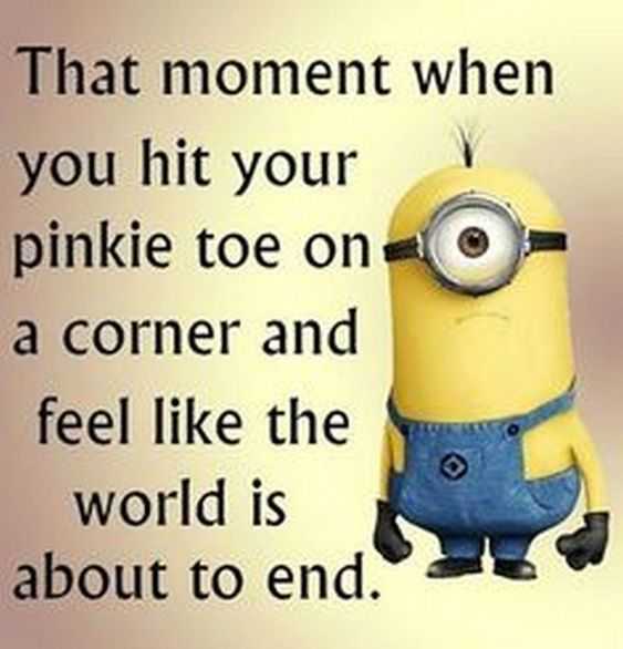 Minion Quotes Funny Life Fails