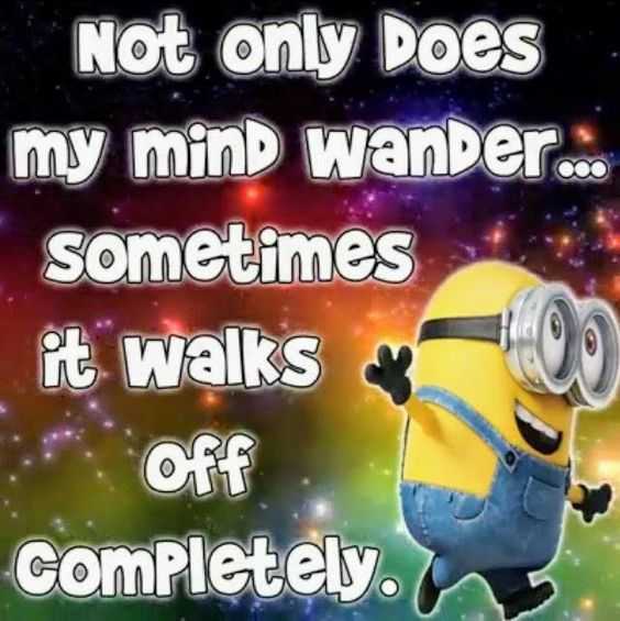 Minion Memes Happy And Clueless