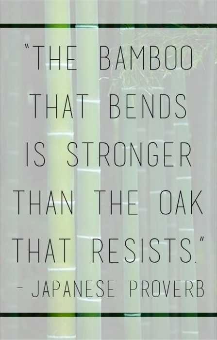 Positive Affirmations Bend Like Bamboo