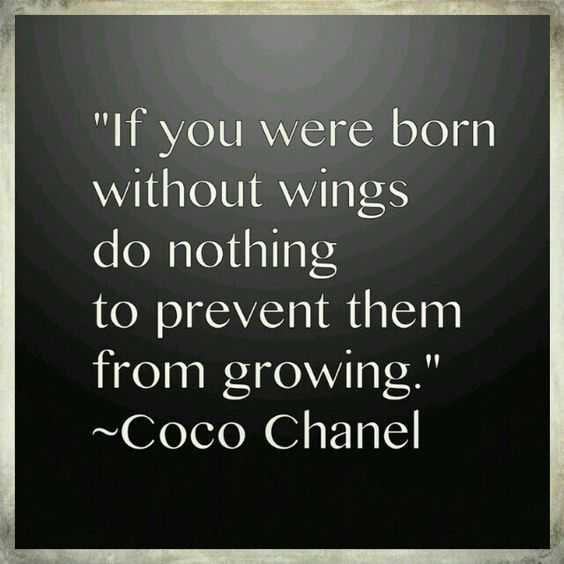 Amazing Motivational Quotes 5 Without Wings