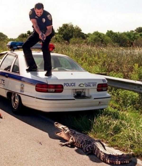 Unbelievable Photos Get Down On The Floor Now