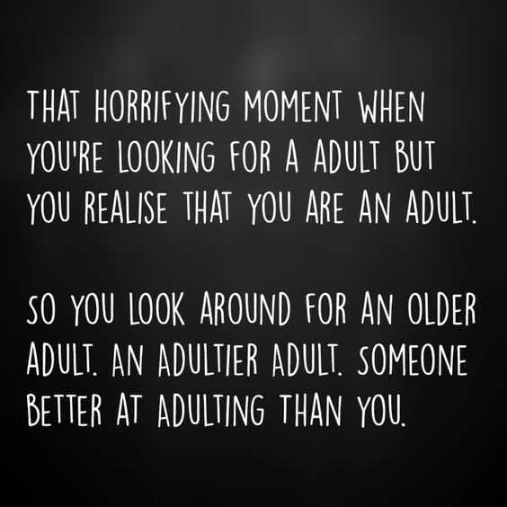 Being An Adult Memes Looking For More Adults