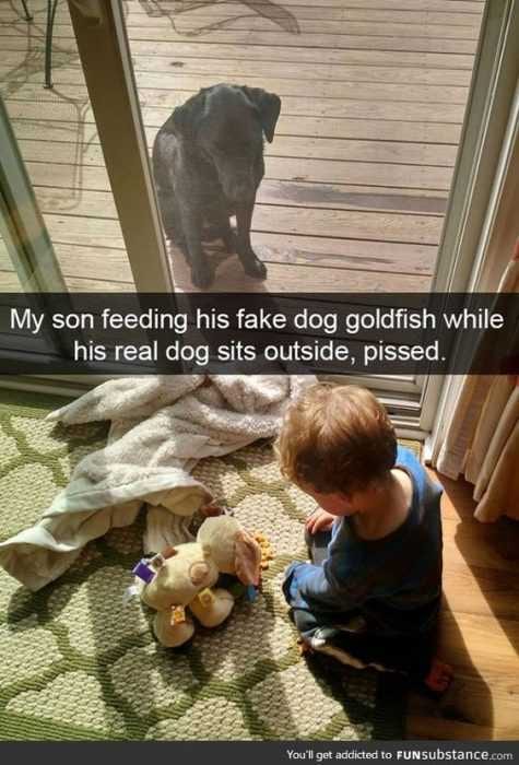 Silly Kid Pictures  Kid Gold Fish