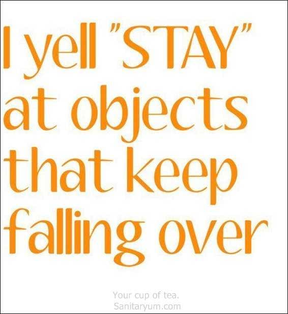 Funny Quotes About Life In General  Talking To Inanimate Objects