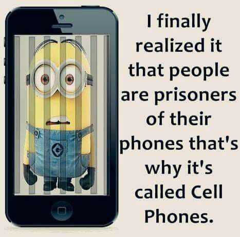 Funny Minion Memes Clean Cell Phones