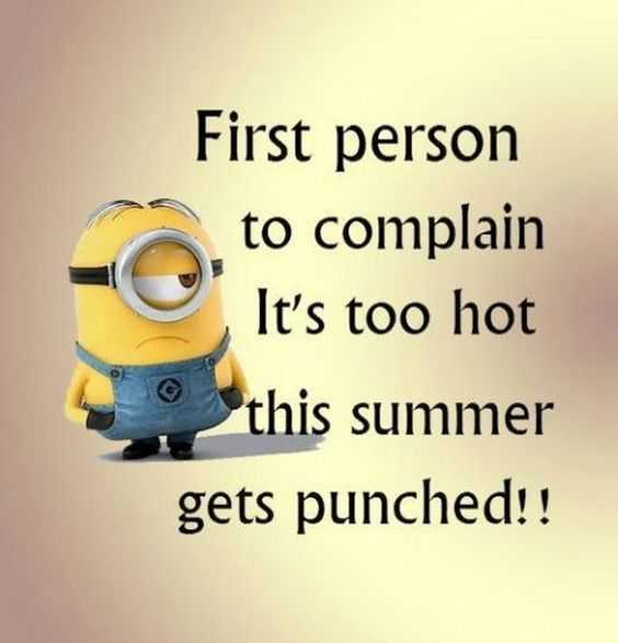 Funny Minions Memes Clean Winters