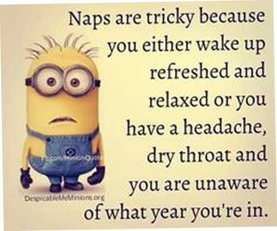 Funny Minions Memes Clean Naps