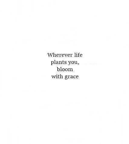 Quotes About SelfGrowth