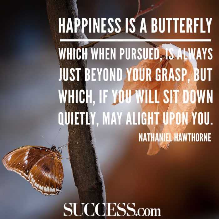 Great Inspirational Quotes Happiness Is A Butterfly