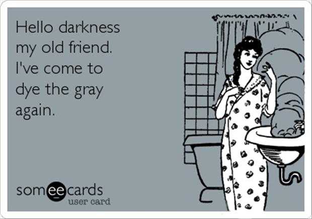 Really Funny Quotes