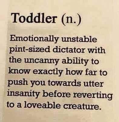 Funny Quote About Life Toddler