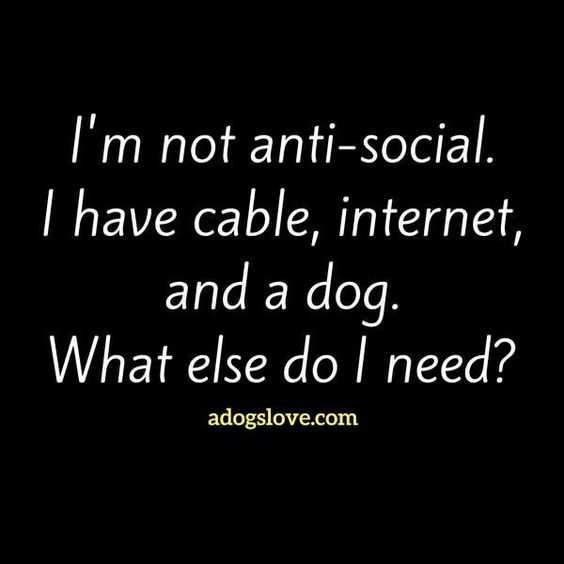 Funny Snarky Quotes