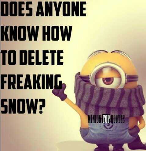 Great Minion Quotes Delete