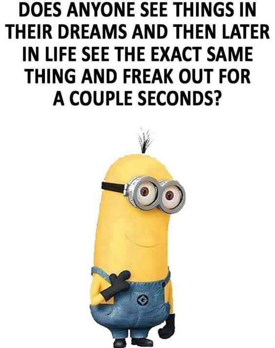 Funny Minion Quotes About Life Deja Vu