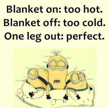 Hilarious Minion Quotes With Attitude Blanket Struggles
