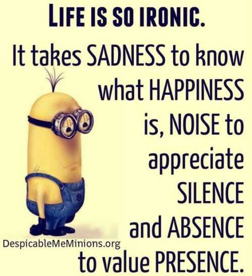 Great Minion Quotes Life's Irony