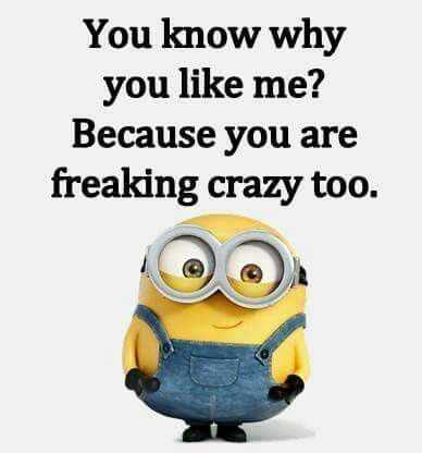 New Minion Quotes