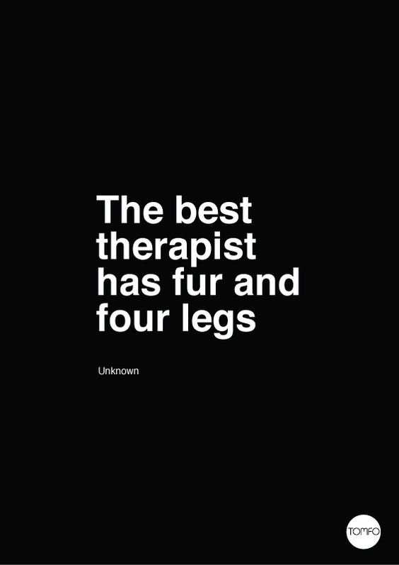 Animal Lover Quotes Therapist