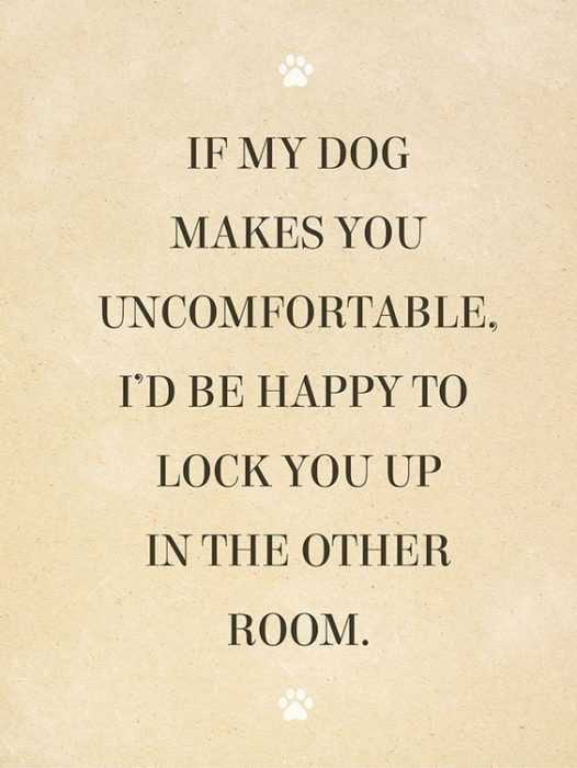 Dog Lovers Quote Don't Like Dogs
