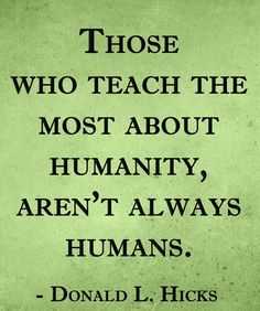 Animal Lover Quotes Humanity
