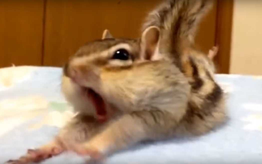 7 Yawn