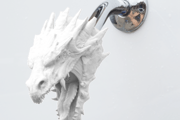 Dragon Showerhead