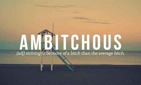 Funny Quotes And Sayings About Life Ambitchous