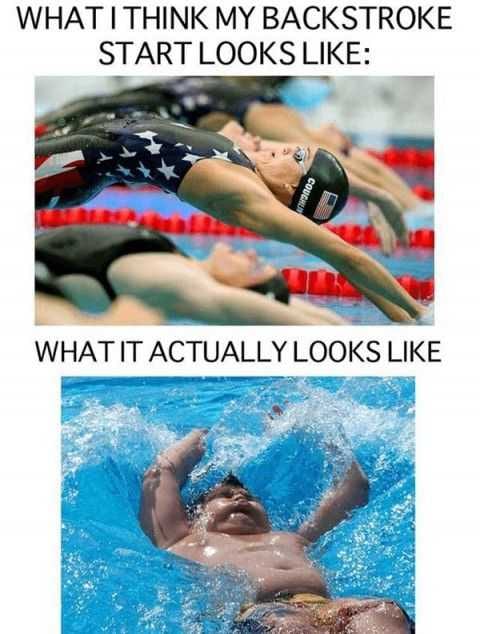 Hilarious Funny Picture  Backstrokes