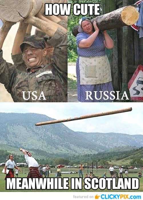 Hilarious Funny Picture  Log