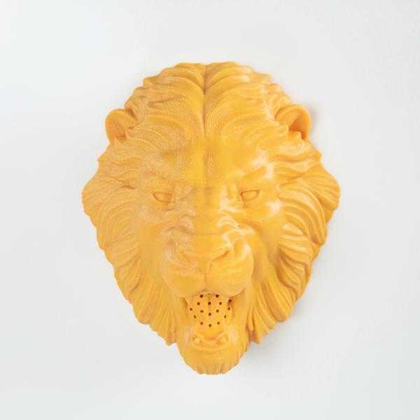 Lion Showerhead