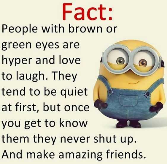 Funny Minion Quote Fact