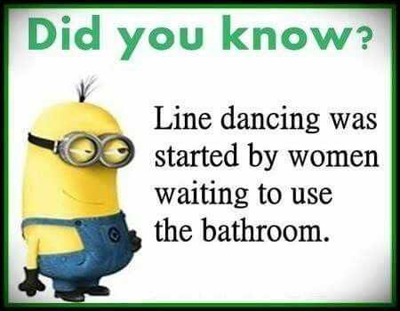 Sarcastic Minion Quotes  Line Dancing
