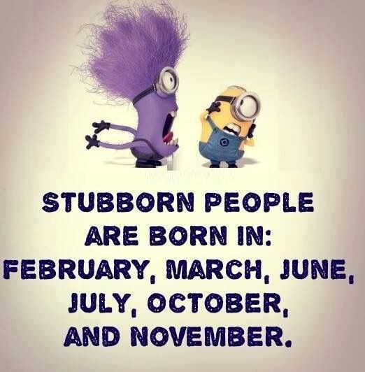 Funny Minion Quotes Stubborn