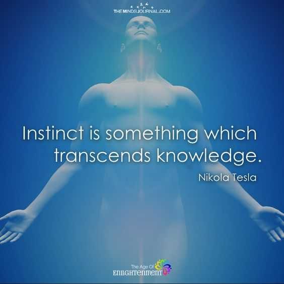 Empowering Quote Instinct