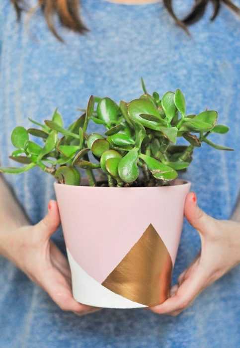 Diy Colorblocked