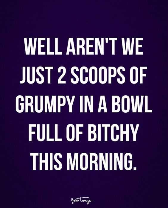 Snappy Quotes To Adore 2 Scoopts Of Grumpy