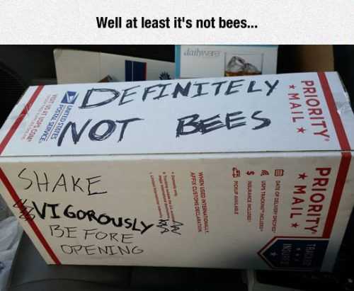 Funny Definitely Not Bees