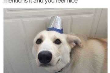 Funny Nice Hat