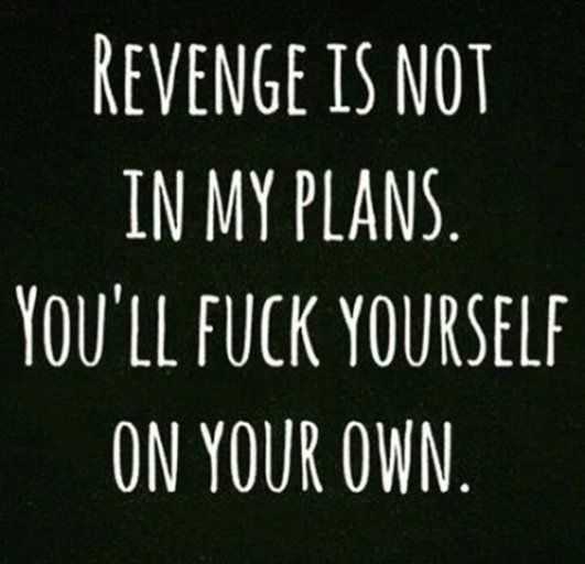 Snappy Quotes Revenge