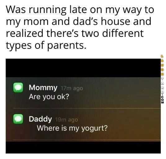 Hilarious Funny Images  Difference Between Moms And Dads