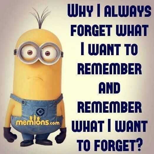 Funny Minion Pictures With Sayings Memory