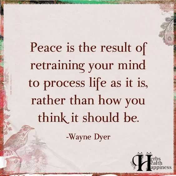 Quotes About Struggle Peace