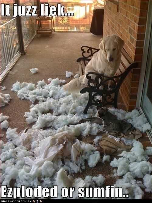 Funny Exploded Or Something