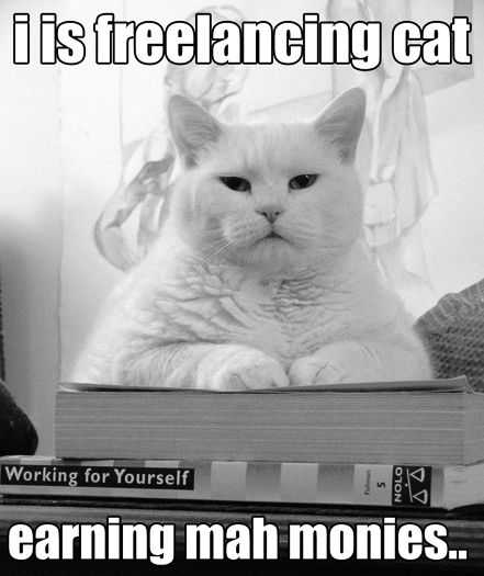 Funny Freelancing Cat